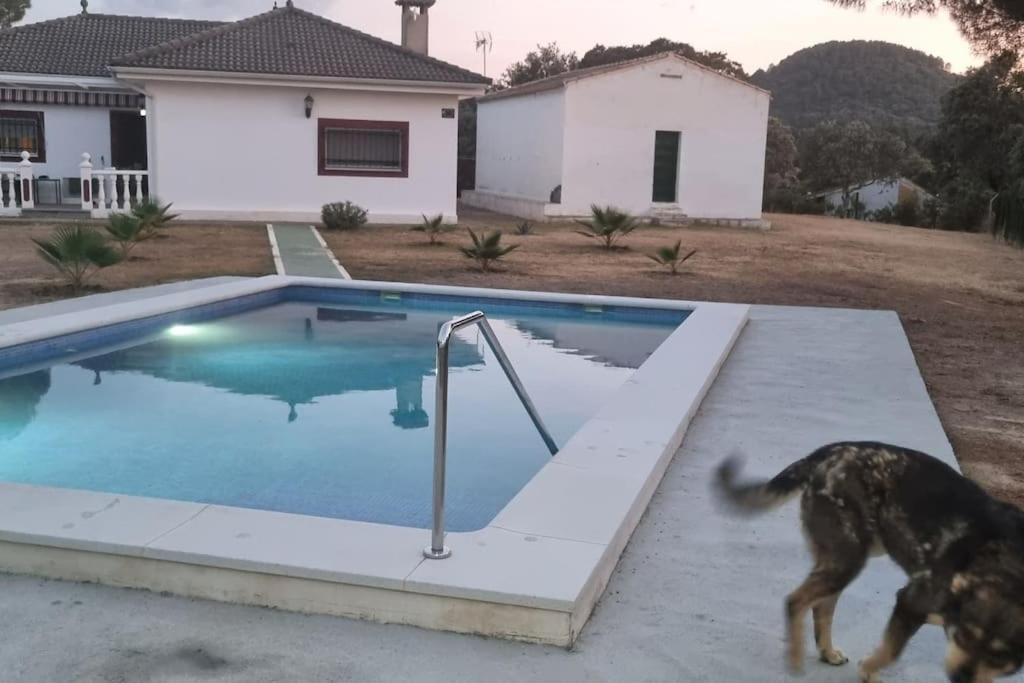Chalet Con Encanto En Sierra Cordobesa. Wifi Cerro Muriano エクステリア 写真